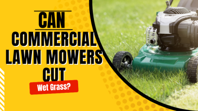 Photo of Can Commercial Lawn Mowers Cut Wet Grass?
