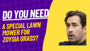 Do You Need A Special Lawn Mower For Zoysia Grass