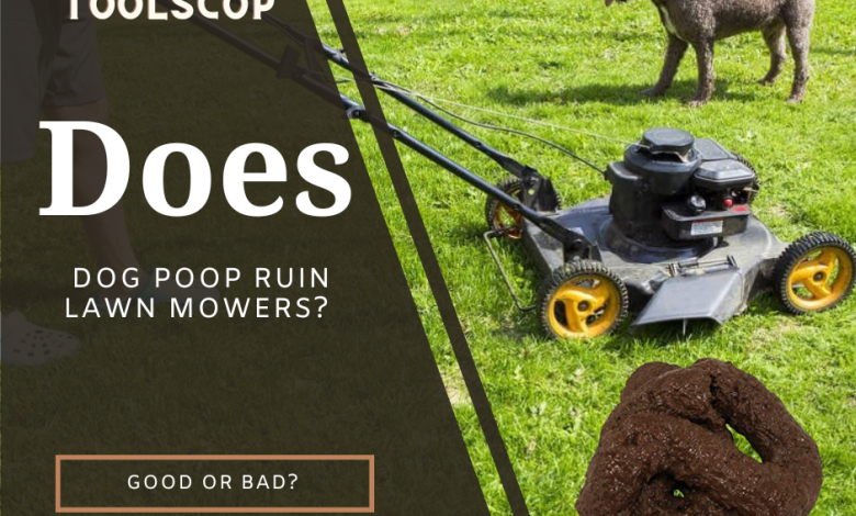 Does Dog Poop Ruin Lawn Mowers