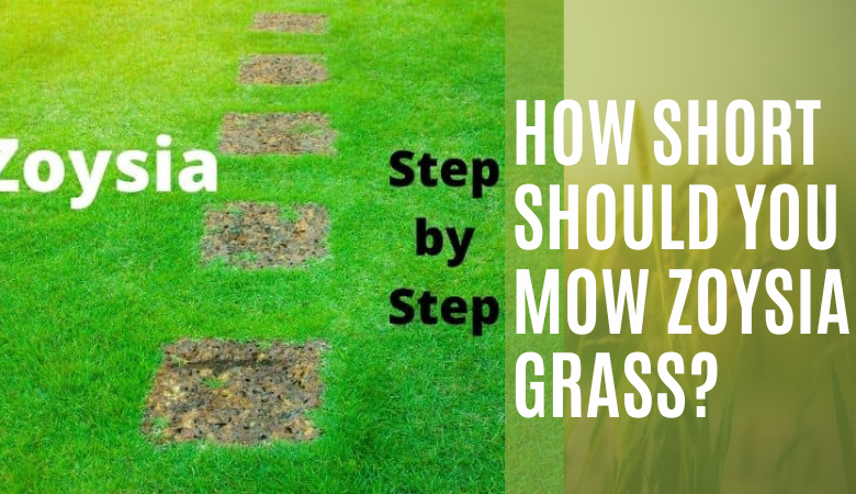 How Short Should You Mow Zoysia Grass