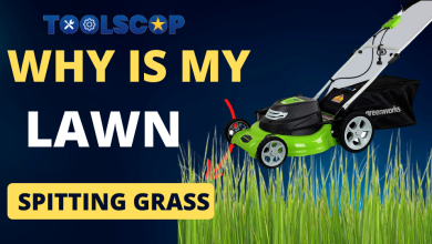 Photo of Why Is My Lawn Spitting Grass – The Topmost Reasons
