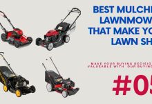 Photo of Top Picks: Best Mulching Lawnmowers 2023 for a Lush Lawn
