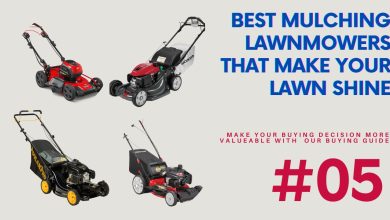 Photo of Top Picks: Best Mulching Lawnmowers 2023 for a Lush Lawn